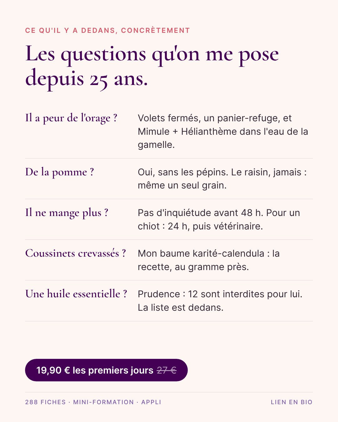 Le Grimoire Naturel du Shih Tzu — guide interactif, mini-formation & 288 fiches