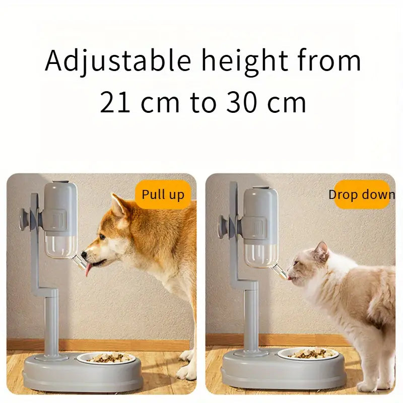 Distributeur d'Eau Automatique
