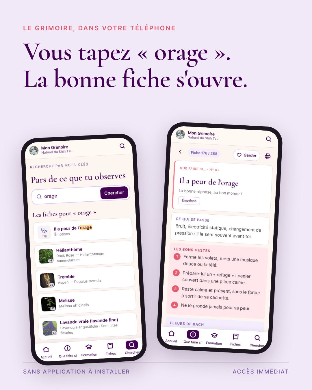 Le Grimoire Naturel du Shih Tzu dans un téléphone