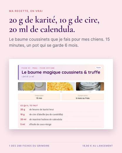 Le Grimoire Naturel du Shih Tzu — guide interactif, mini-formation & 288 fiches