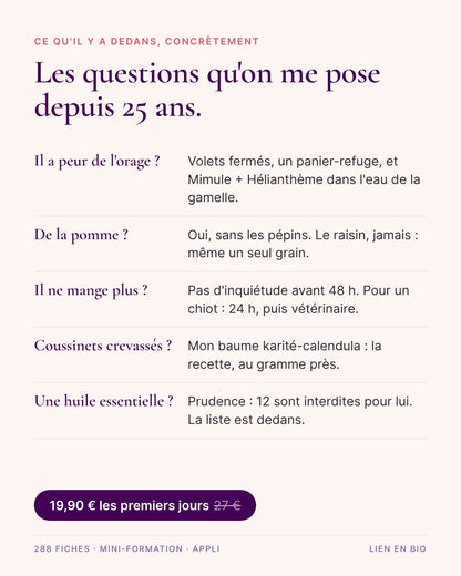 Le Grimoire Naturel du Shih Tzu — guide interactif, mini-formation & 288 fiches
