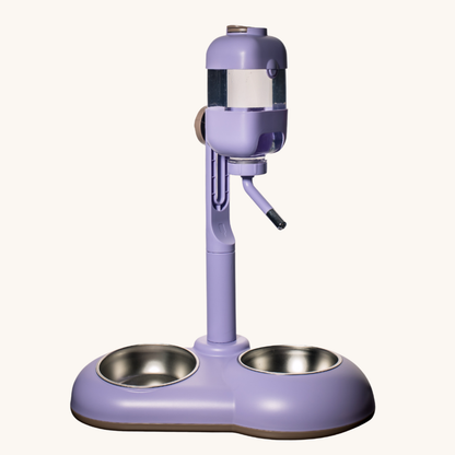 2-in-1 Water Fountain and Bowl for Dogs and Cats