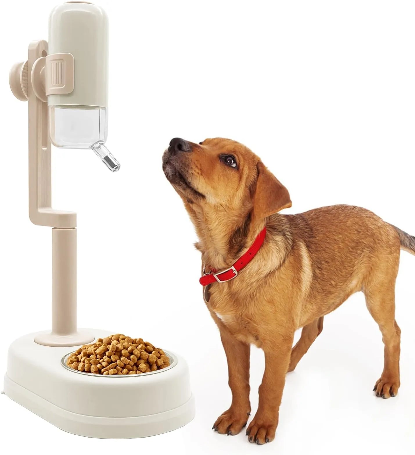 Distributeur d'Eau Automatique