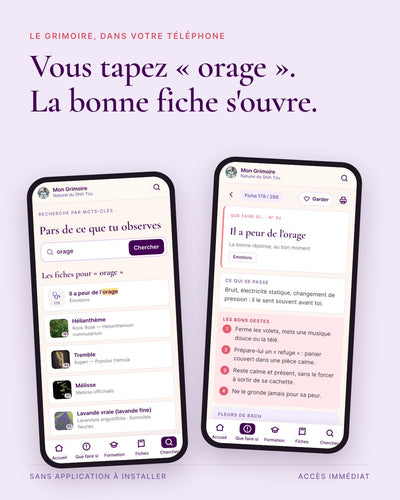 Le Grimoire Naturel du Shih Tzu — guide interactif, mini-formation & 288 fiches