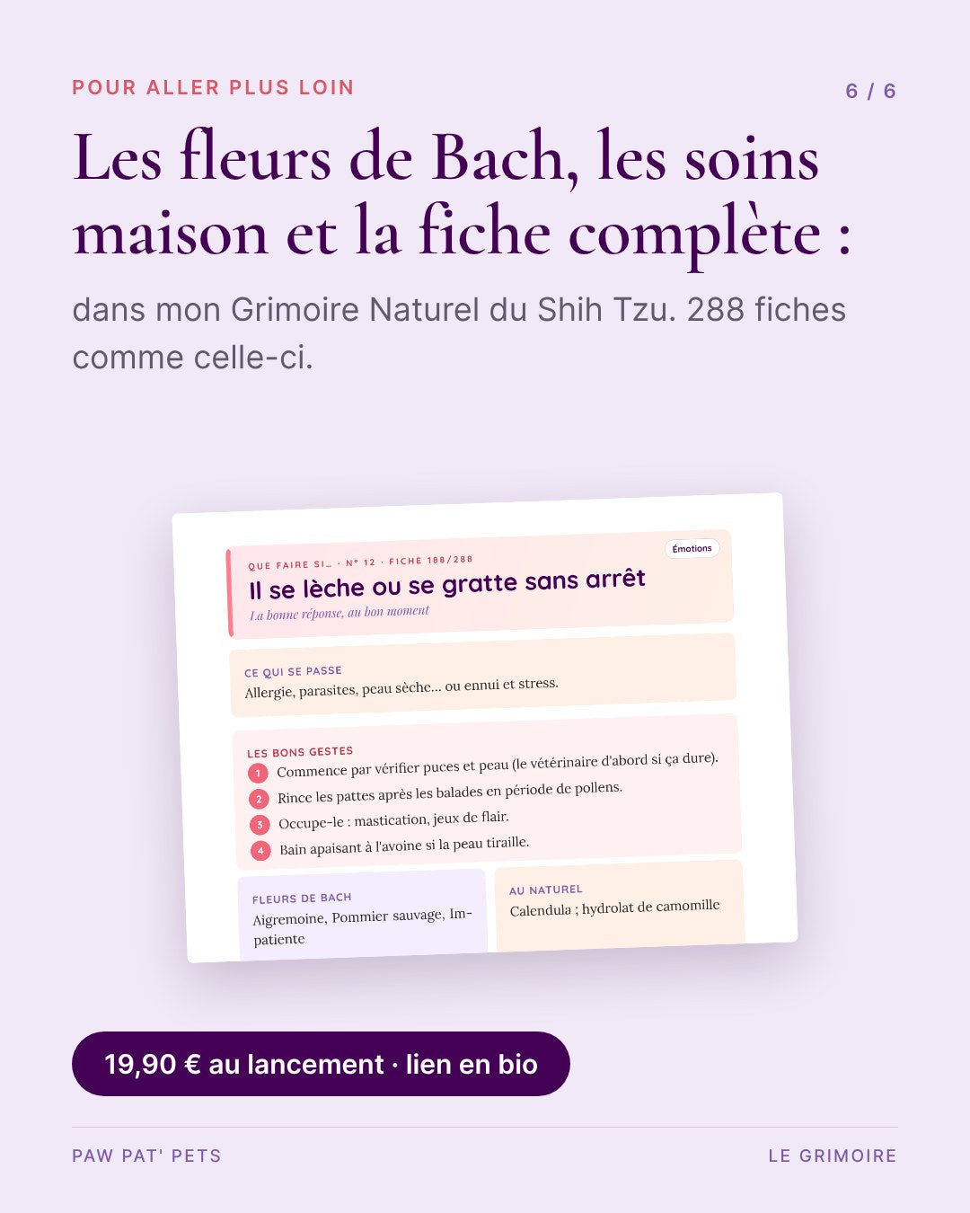 Le Grimoire Naturel du Shih Tzu — guide interactif, mini-formation & 288 fiches
