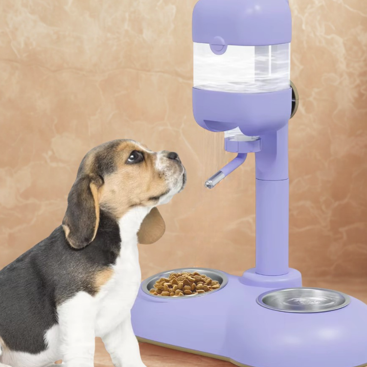 Distributeur abreuvoir d'eau 2 en 1