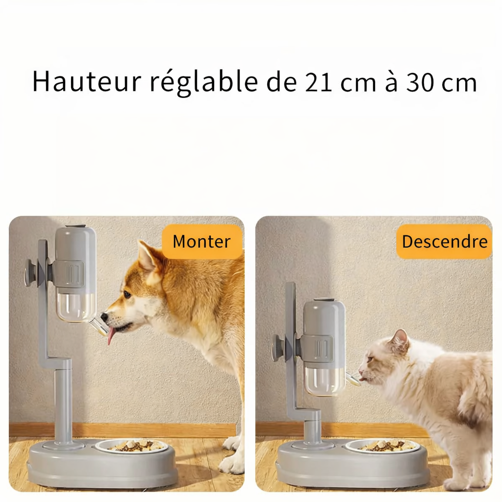 Distributeur d'Eau Automatique