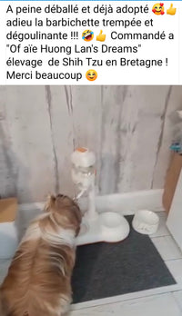 Avis client Facebook sur la fontaine et gamelle 2-en-1 pour chien et chat